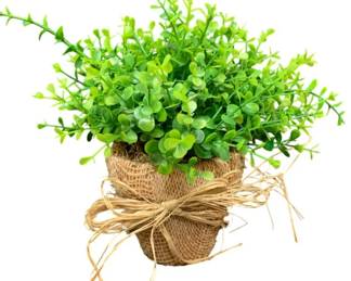 8 - Boxwood Faux Plant - 9 x 7.5