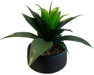 329 - Succulent in Metal Planter - 15 x 20 x 16