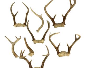 1118 - Assorted Faux Antlers