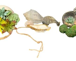 5 - Assorted Succulent & Sea Shell Items