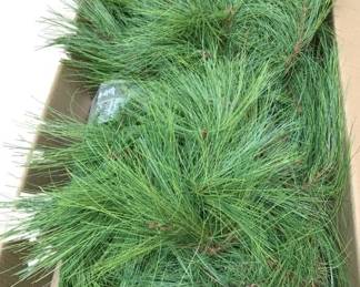 999 - 2 - 25ft Strands of Artificial White Pine Garland