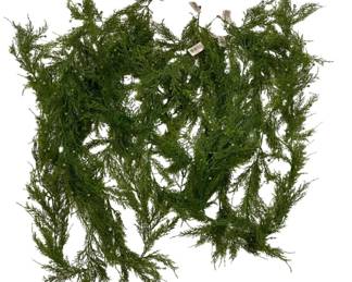 860 - 9 Cedar Garland w/ Berries - 6ft