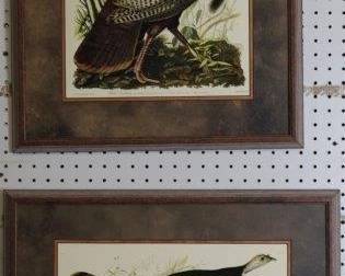 9034 - Wild Turkey/ Great American Hen & Young by John J (Description): 24.5 X 20