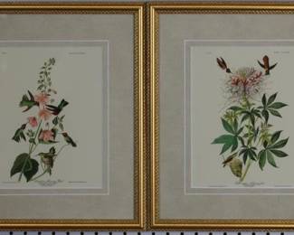 9058 - Set of Hummingbirds by John J Audubon (Description): 14.5 X 17