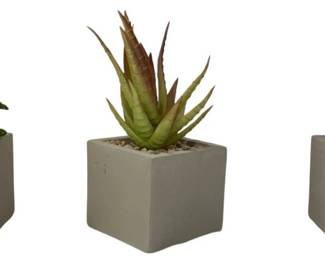 8546 - 3 Three Hands Faux Succulent Pots (Description): 2.25 x 2.25 x 6
