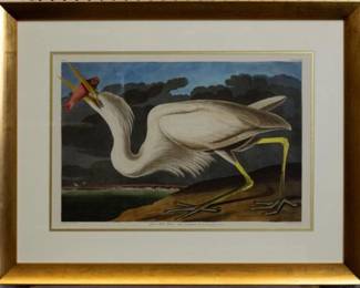 9004 - Great White Heron by John J. Audubon (Description): 29.5 X 23