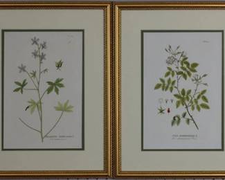 9051 - Botanical Set of 2 (Description): 14.5 X 18.5