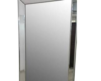 244 - Large Floor Mirror by Coast to Coast (Description): has some scratches and lossed to edges of frame, 79 x 46 x 5