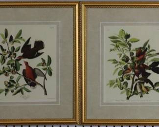 9057 - Set of Doves by John J Audubon (Description): 14.5 X 17
