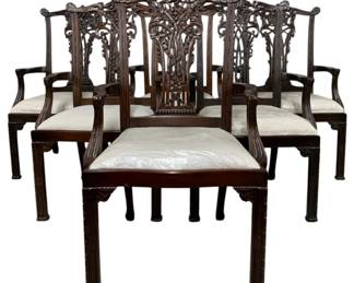 4160 - Alden Home Set of 6 Chippendale Armchairs (Description): 43 x 26 x 21