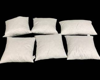 4282 - 6 Pillow Form Inserts, Duck Feather Filled