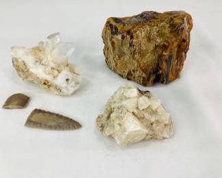 Calcite, Quartz & Petrified Wood