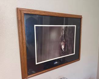 Framed Wolf Print