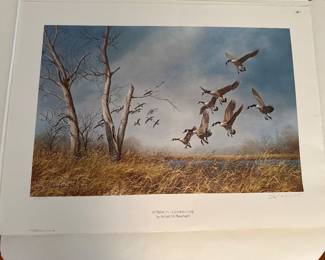 Framed Art