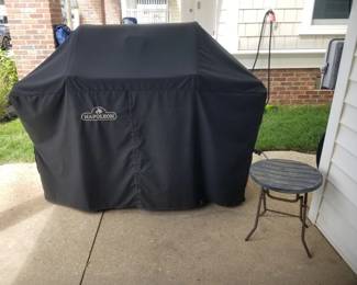Napolean propane gas grill