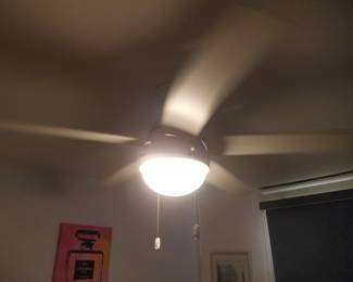 Lighted ceiling fan