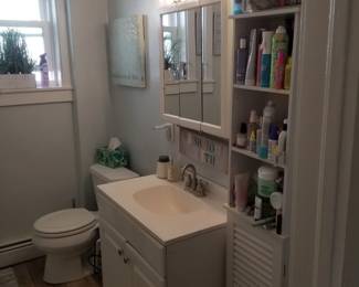 Toilet; bath vanity; medicine cabinet; vanity lights