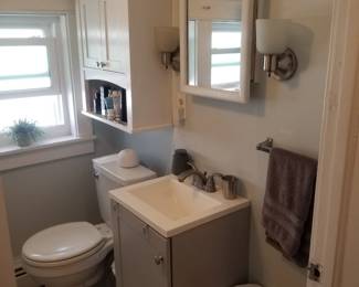 Toilet; medicine cabinet petite vanity; storage cupboard