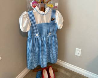 Dorothy Wizard of Oz outfit.