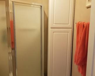 Storage cabinet; shower surround