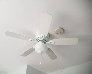 Lighted ceiling fan