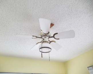 Lighted ceiling fan