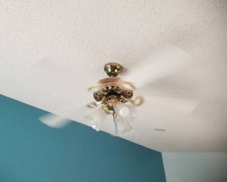 Lighted ceiling fan