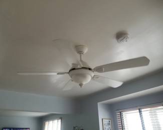 Lighted ceiling fan