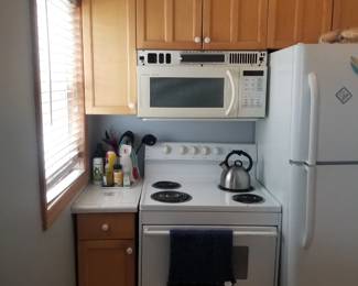 Cute kitchen; electric range