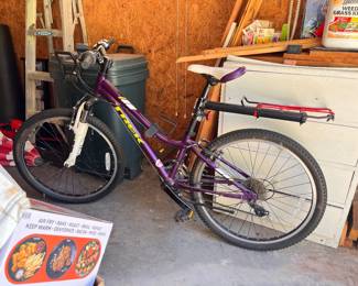 Girls Trek Bike Silver Alpha Aluminum Precaliber