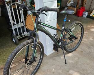 Schwinn mountain bike