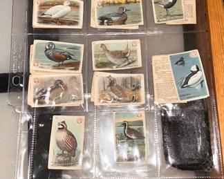 1924  'Useful Birds of America' series 4  trading cards made by Church & Dwight Co.  (makers of Arm & Hammer)