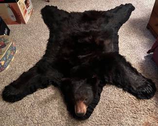 Black bear fur rug. COMPLETE w/ teeth and paws & claws. NOTE: Will sell ONLY to WI residents!
