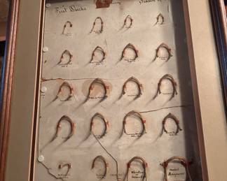 Here is an EXTREMELY RARE (the word RARE is used and abused WAY TO OFTEN - BUT NOT HERE) Authentic 1888 Victorian Waterfowl Taxidermy Sh  adowbox Display!!Features hand inked calligraphy mapping a precise chronological Wisconsin hunting season. Includes 20  curated , dried upper mandibles including King Rail & mud hen/ Coot & premium ducks. species. Retains its  original backing with a 19th century WI news article referencing Govenor George W. Peck.  HISTORY NOTE: Peck was the democrate that beat the incumbent William D. Hoard in the 1890 WI govenor race. Peck was WI govenor from 1891 -1894.