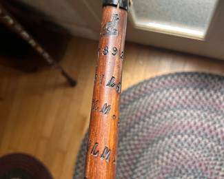 An 1896 Alpine walking cane with Latin descriptions.
