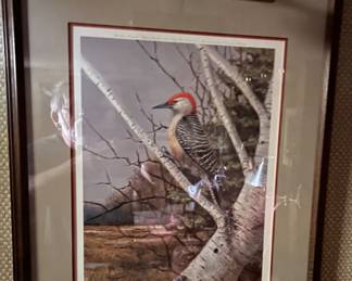 Red Bellied Woodpecker 27/450 1986 w/ 'art light'. 1 of 4   O. Gromme. All are hand signed, numbered, matted & framed.
