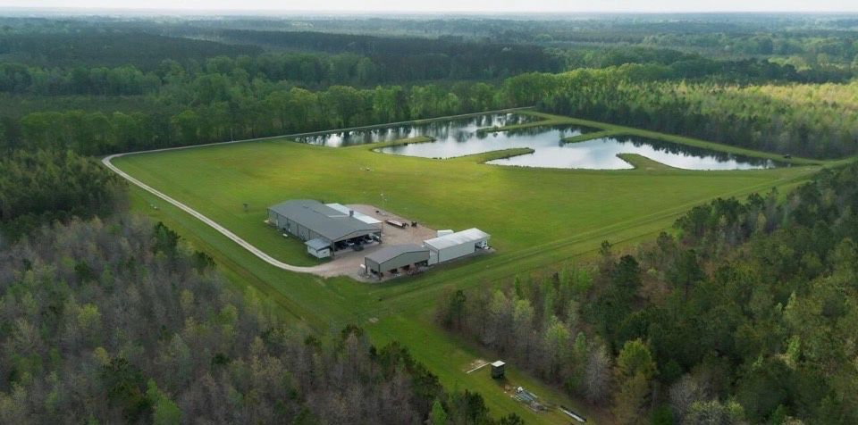 Beautiful high fence property