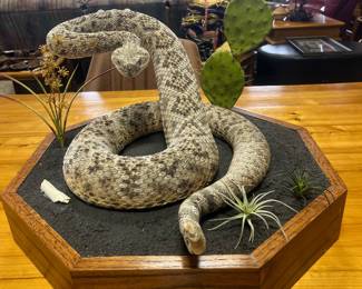 Rattlesnake shake