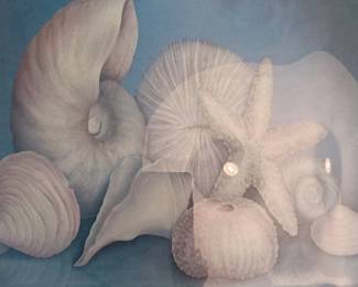 Fancy Tht Gift Dcor Seashell Decorative Plate