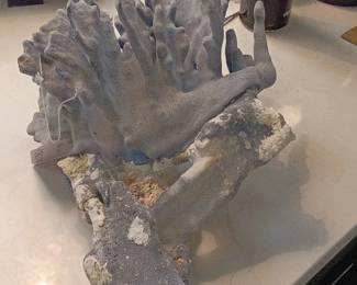 Blue Ridge Coral Specimen