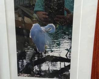 Snowy Egret Photograph by Rick Kelley