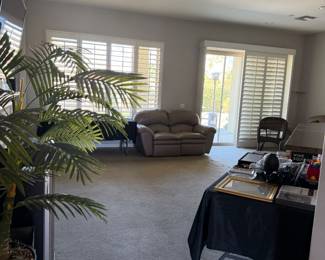 Beige couches 