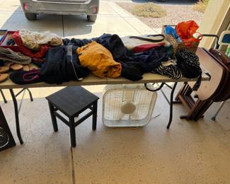 Women's Clothes (most are size LG) 
