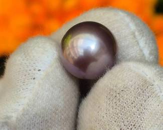 11.69mm AAA Edison Pearl