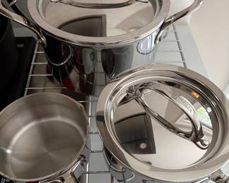 Williams-Sonoma 18/10 stainless pants and sauce pot