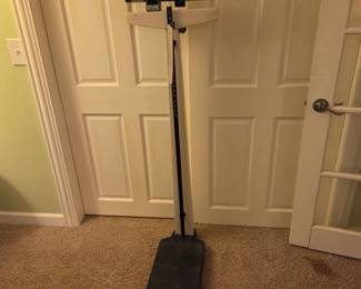 Scale