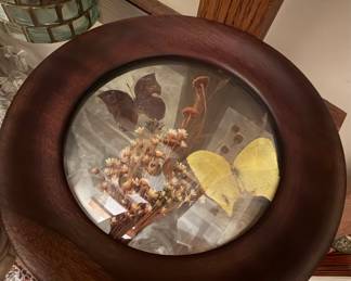 Vintage Butterfly and Dried Floral Shadowbox Display