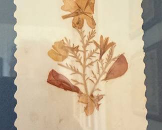 Jerusalem Pressed Flower Souvenir Art Trio