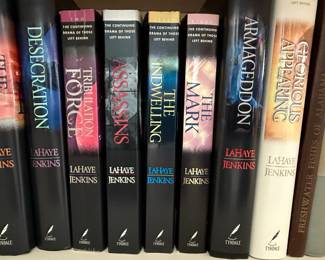 The Left Behind Series Book Collection