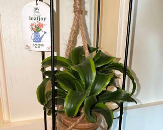 Proven Winners Leafjoy Hanging Plant